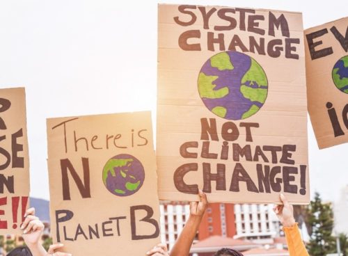 Do corporate net zero pledges stand up?