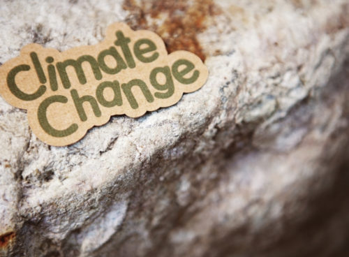 Climate risk reporting