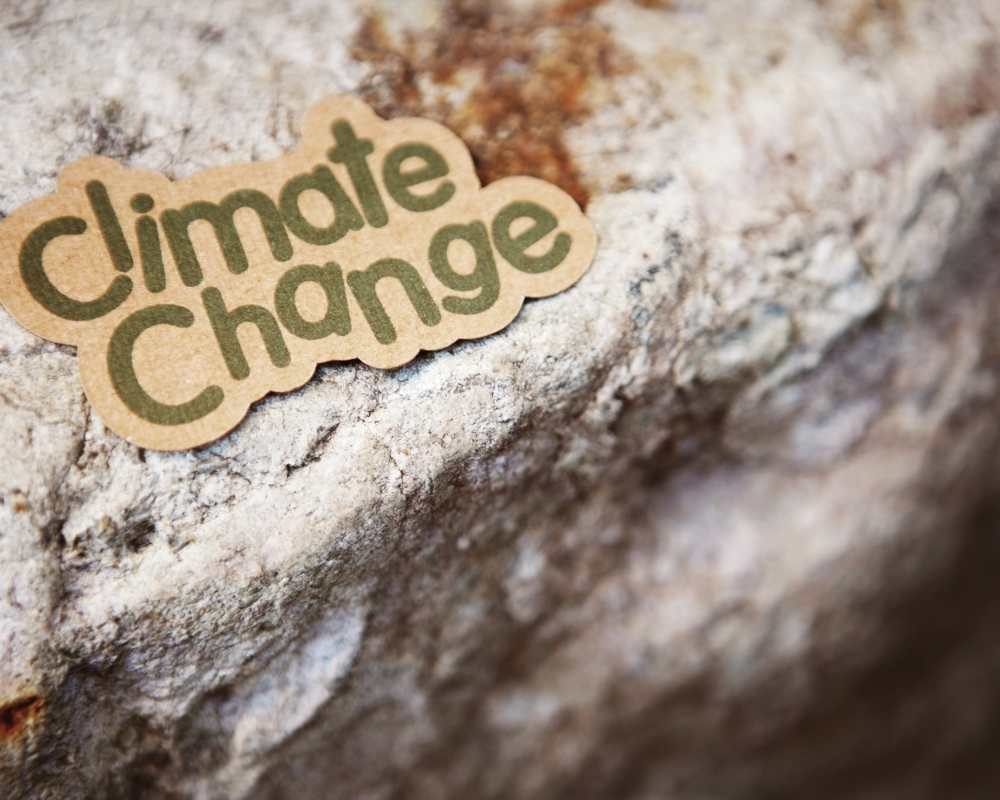 Climate risk reporting