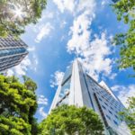 The 5 first steps towards becoming a net zero carbon business