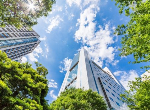 The 5 first steps towards becoming a net zero carbon business