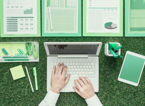 What IS a net zero business?