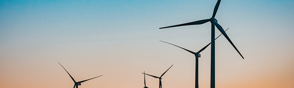 Bank of America sets out plans for a net zero supply chain