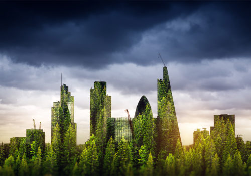 What is a net zero carbon building?