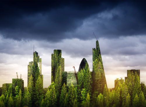 What is a net zero carbon building?