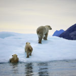 Finally, governments are putting climate change over profit