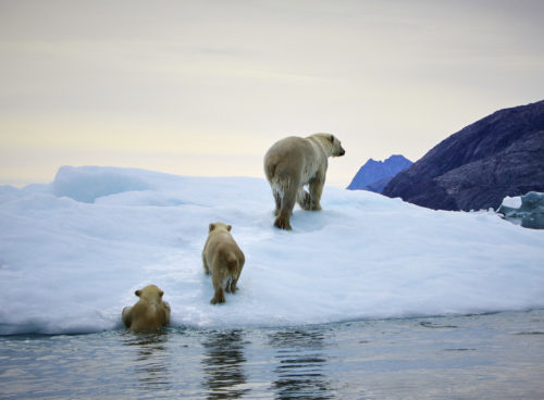 Finally, governments are putting climate change over profit