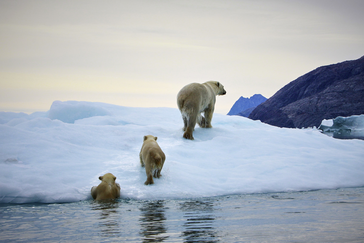 Finally, governments are putting climate change over profit