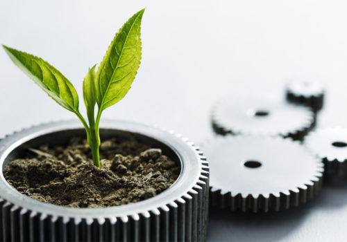 Why the ESOS shake-up could be a game-changer for your business