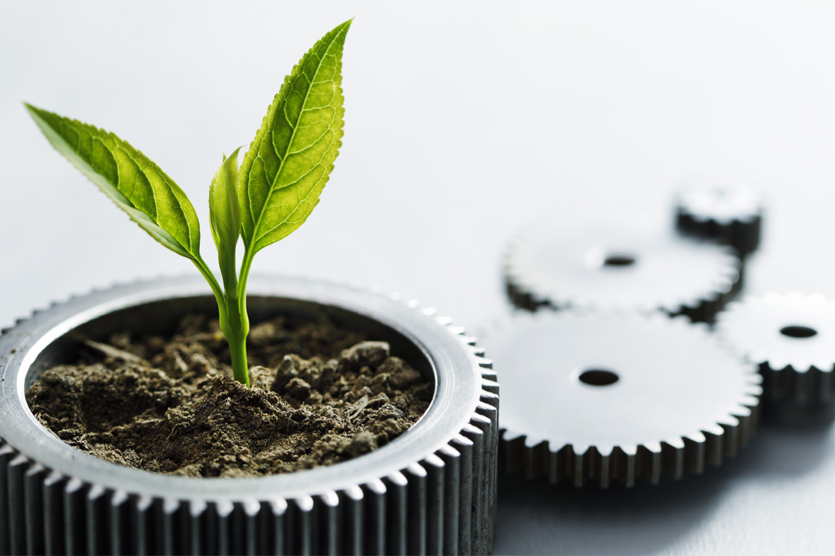 Why the ESOS shake-up could be a game-changer for your business