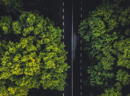 Government outlines new corporate sustainability reporting rules in a bid to weed out greenwashing. Click the link for more details...