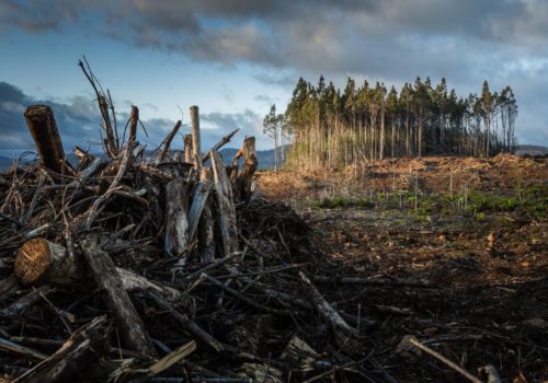 Launched to coincide with the second week of COP26 10 of the UK’s leading universities use position as investors to call time on greenwashing...