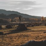 It may seem like moments since the ink dried on COP26 agreements, but what should business leaders be doing, and what must COP27 pick up?