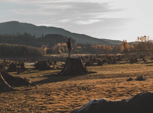 It may seem like moments since the ink dried on COP26 agreements, but what should business leaders be doing, and what must COP27 pick up?