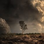 Research reveals climate pledges from leading global businesses will fail to reach net zero