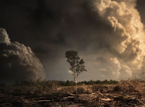 Research reveals climate pledges from leading global businesses will fail to reach net zero