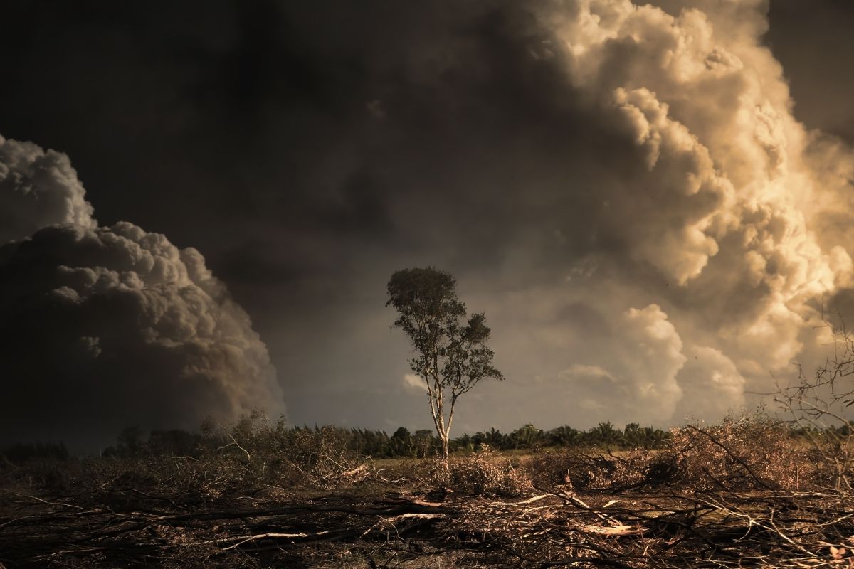 Research reveals climate pledges from leading global businesses will fail to reach net zero