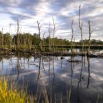 carbon removal technologies to solve the climate crisis