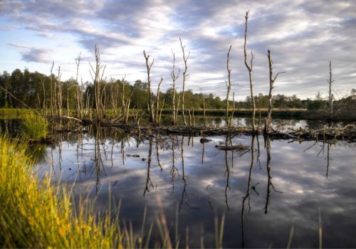 carbon removal technologies to solve the climate crisis