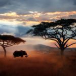 IPCC report calls warming status 'dire'. What will it take for the world to stand up and listen