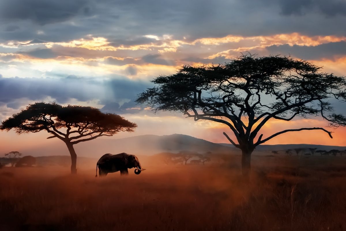 IPCC report calls warming status 'dire'. What will it take for the world to stand up and listen
