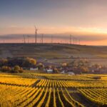 Net zero has largely been voluntary, but with the UK’s 2050 target drawing closer, this is set to change. Project Net Zero explains...