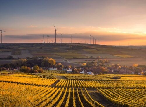 Net zero has largely been voluntary, but with the UK’s 2050 target drawing closer, this is set to change. Project Net Zero explains...