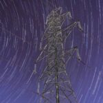 As corporates and governments face ever more urgent net zero targets, the logical step is to take simple wins wherever we can.