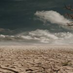 With many politicians seemingly ignoring climate change, will the next Tory leader take climate seriously?