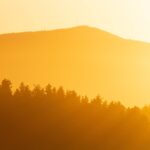 Recent scorching weather across the UK and Europe has led many to conclude we are now seeing concrete evidence of human-led global warming.