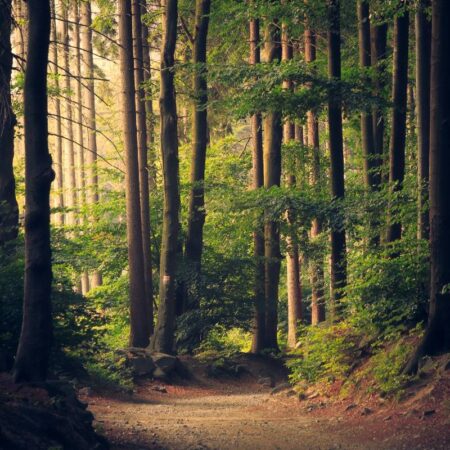 The Transition Plan Taskforce (TPT) are working on a technical briefing paper incorporating Just Transition principles.