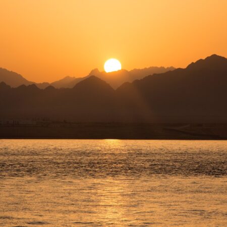 COP27 takes place in November, and comes amid yet another period of global turmoil. Here's our business briefing on what to expect.