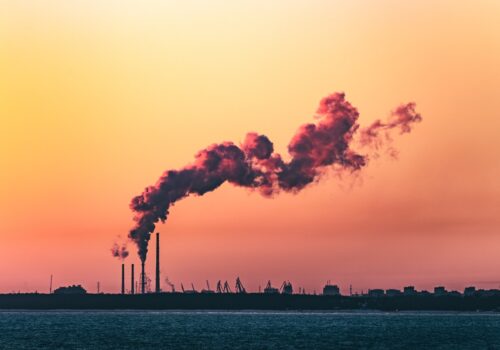 COP27: 200+ business and civil society voices pledge urgent support for 1.5C
